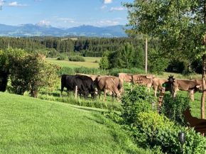 Kuh Heimat - Bergblick - Terrasse